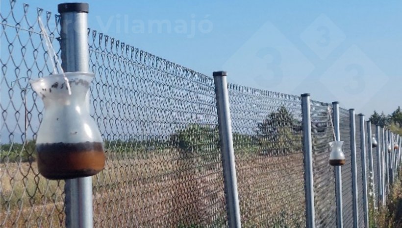 Photo 2: Multi-catch traps for adult flies located on&nbsp;the perimeter fence.
